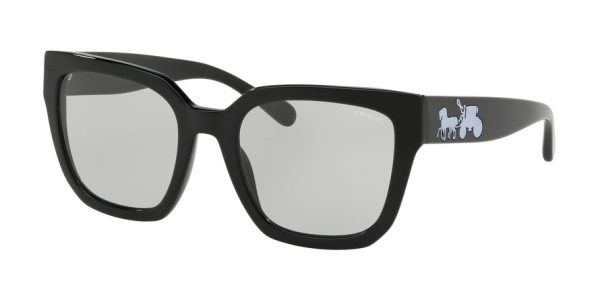 Coach L1050 HC8249F Square Sunglasses Online Hot Sale - Image 2