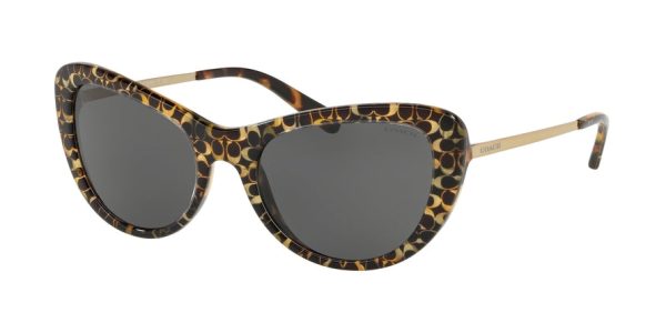 Coach L1039 HC8247 Cat Eye Sunglasses For Cheap