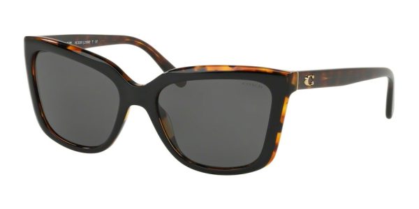 Coach L1059 HC8261 Square Sunglasses Online now