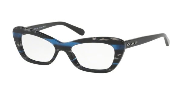 Coach HC6108 Cat Eye Eyeglasses Online Hot Sale - Image 2