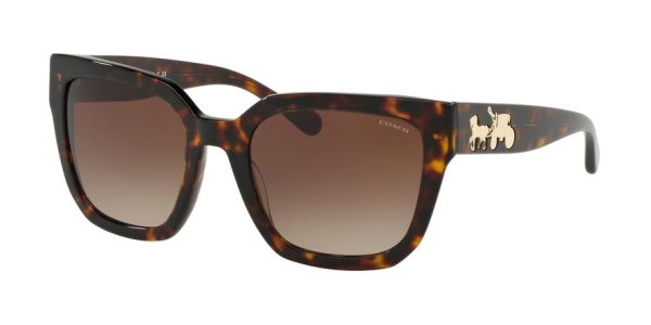 Coach L1050 HC8249F Square Sunglasses Online Hot Sale - Image 3