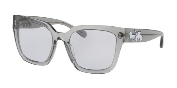 Coach L1050 HC8249F Square Sunglasses Online Hot Sale