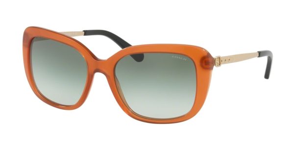 Coach L1005 HC8229F Square Sunglasses For Cheap